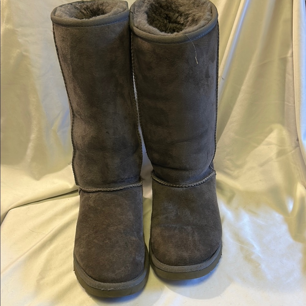 UGG Women's Winter Boots - GRAY
